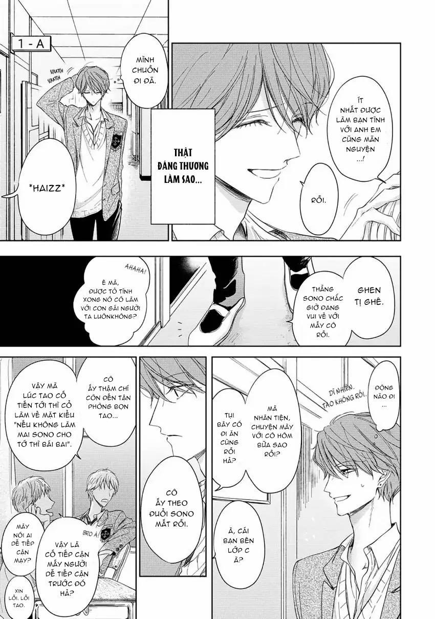 Pittosporum-Shino Makami 6 trang 2