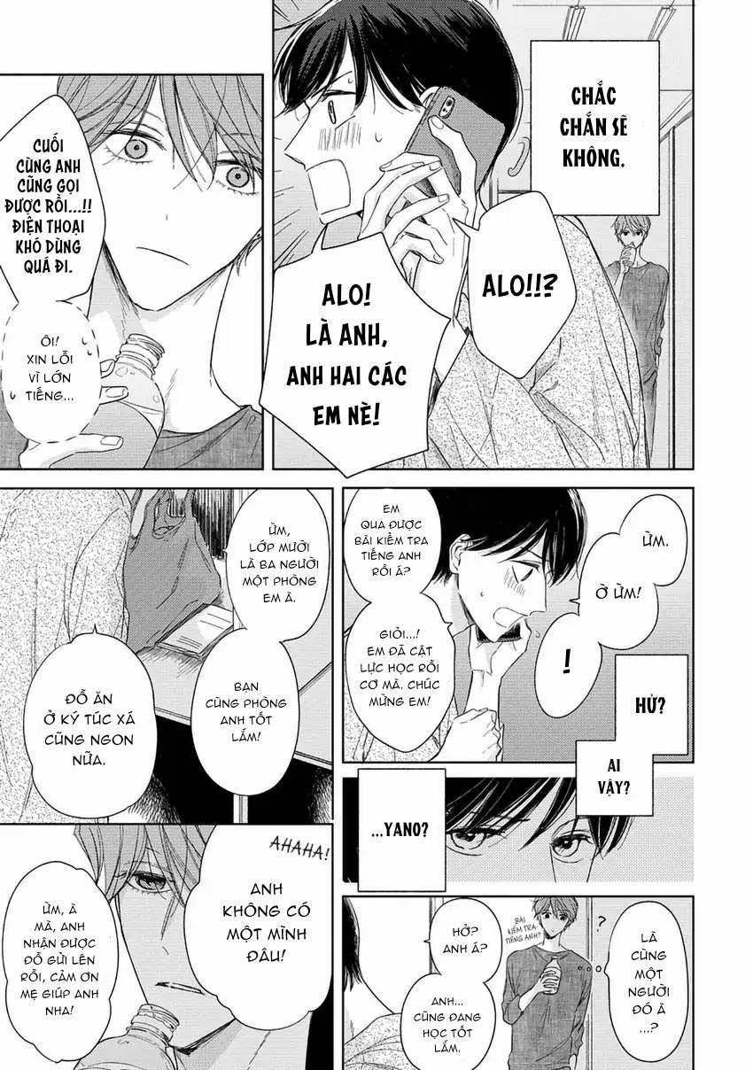 Pittosporum-Shino Makami 6 trang 4