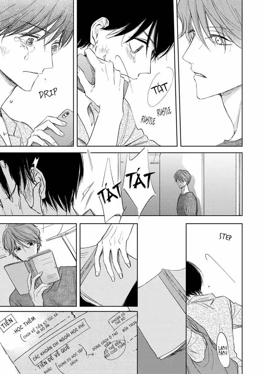 Pittosporum-Shino Makami 6 trang 6