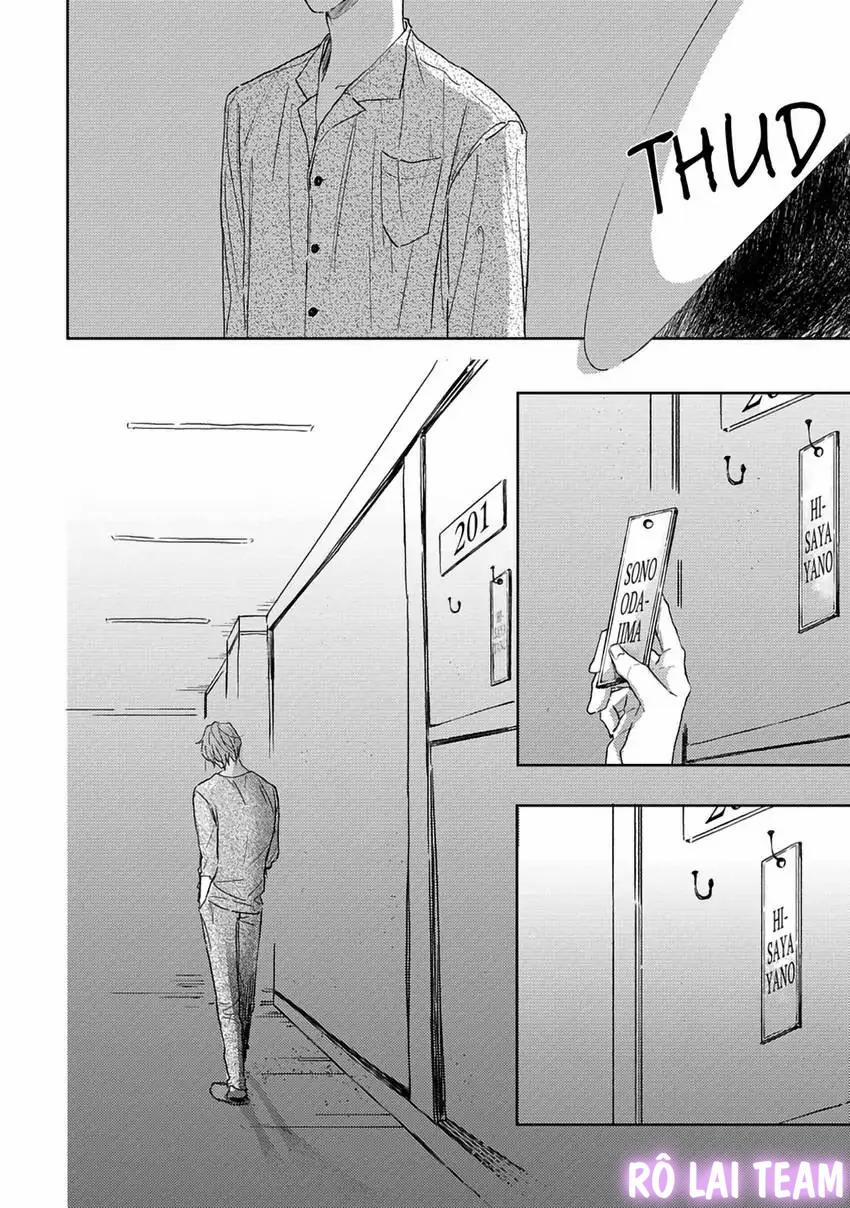 Pittosporum-Shino Makami 7 trang 11