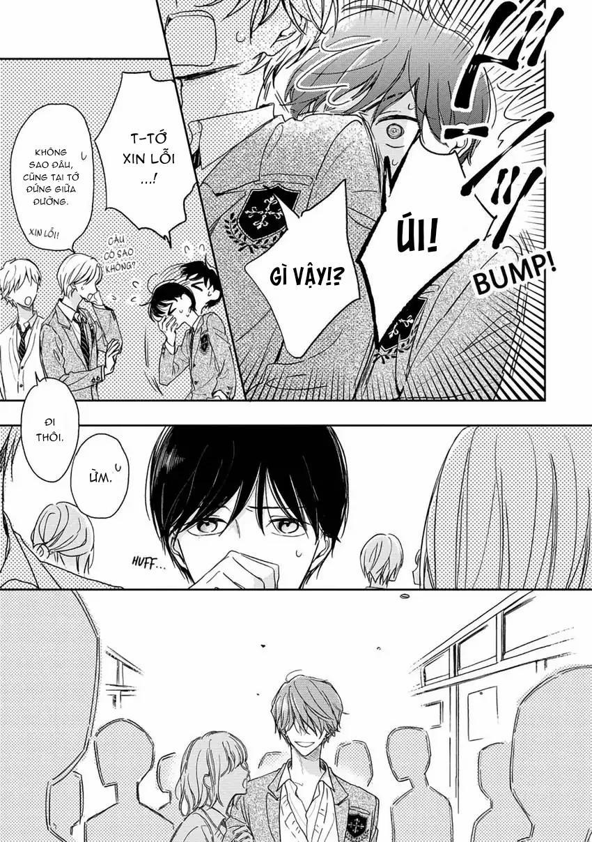 Pittosporum-Shino Makami 7 trang 18