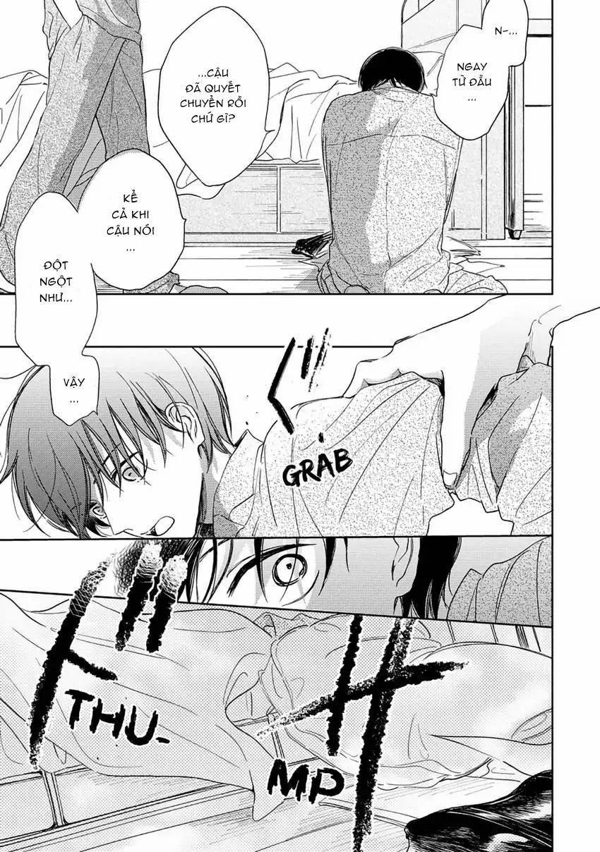 Pittosporum-Shino Makami 7 trang 4