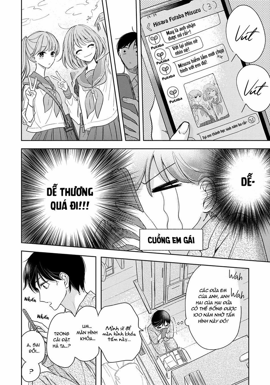 Pittosporum 1 trang 14