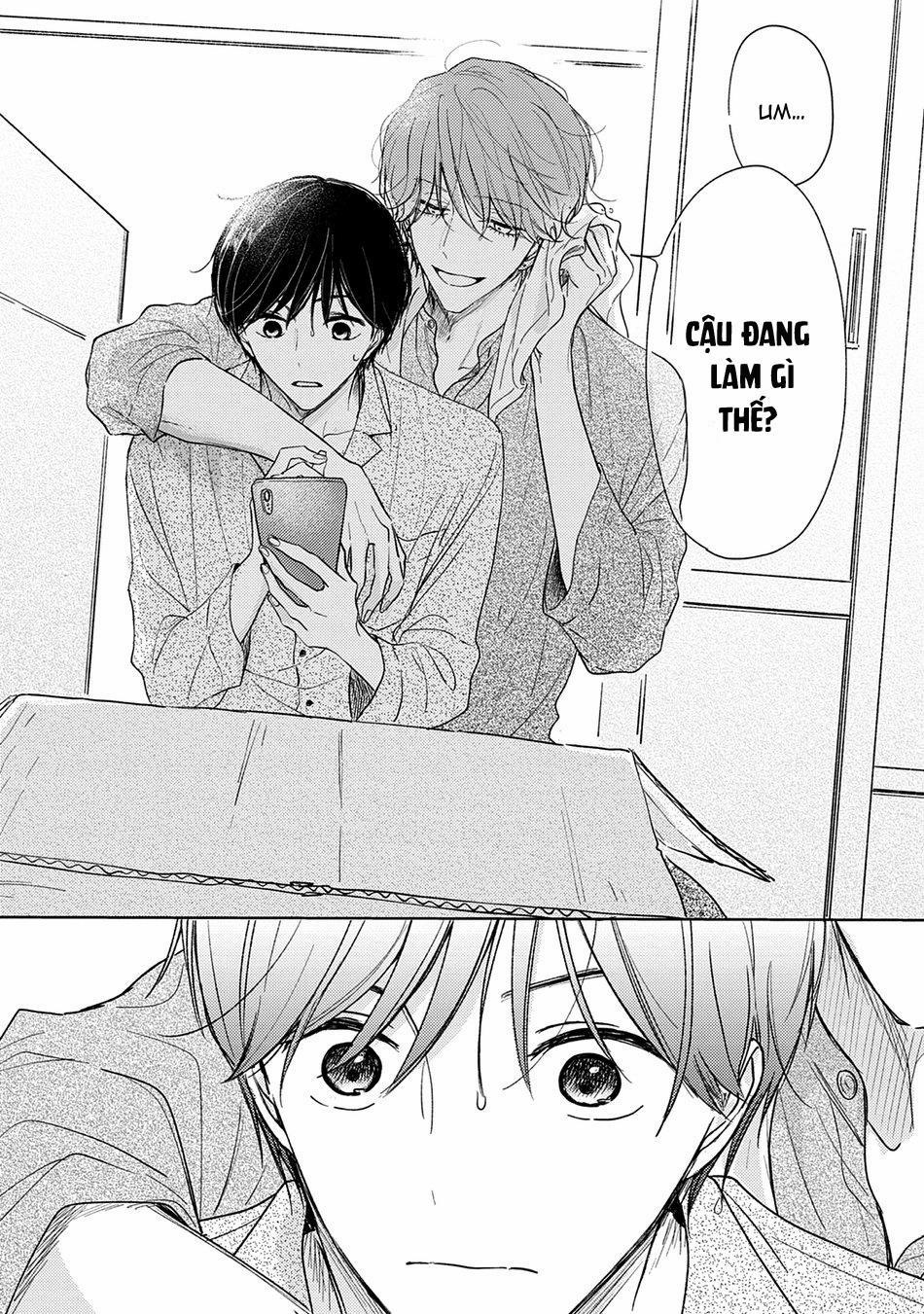 Pittosporum 1 trang 15