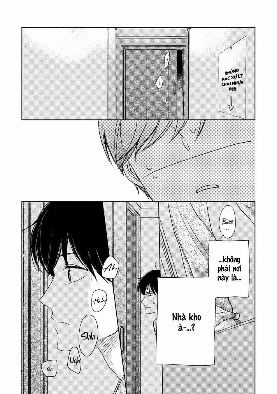 Pittosporum 1 trang 23