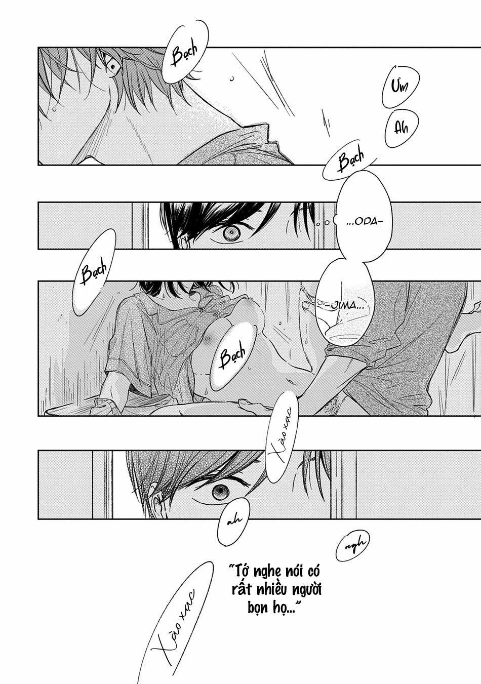 Pittosporum 1 trang 24