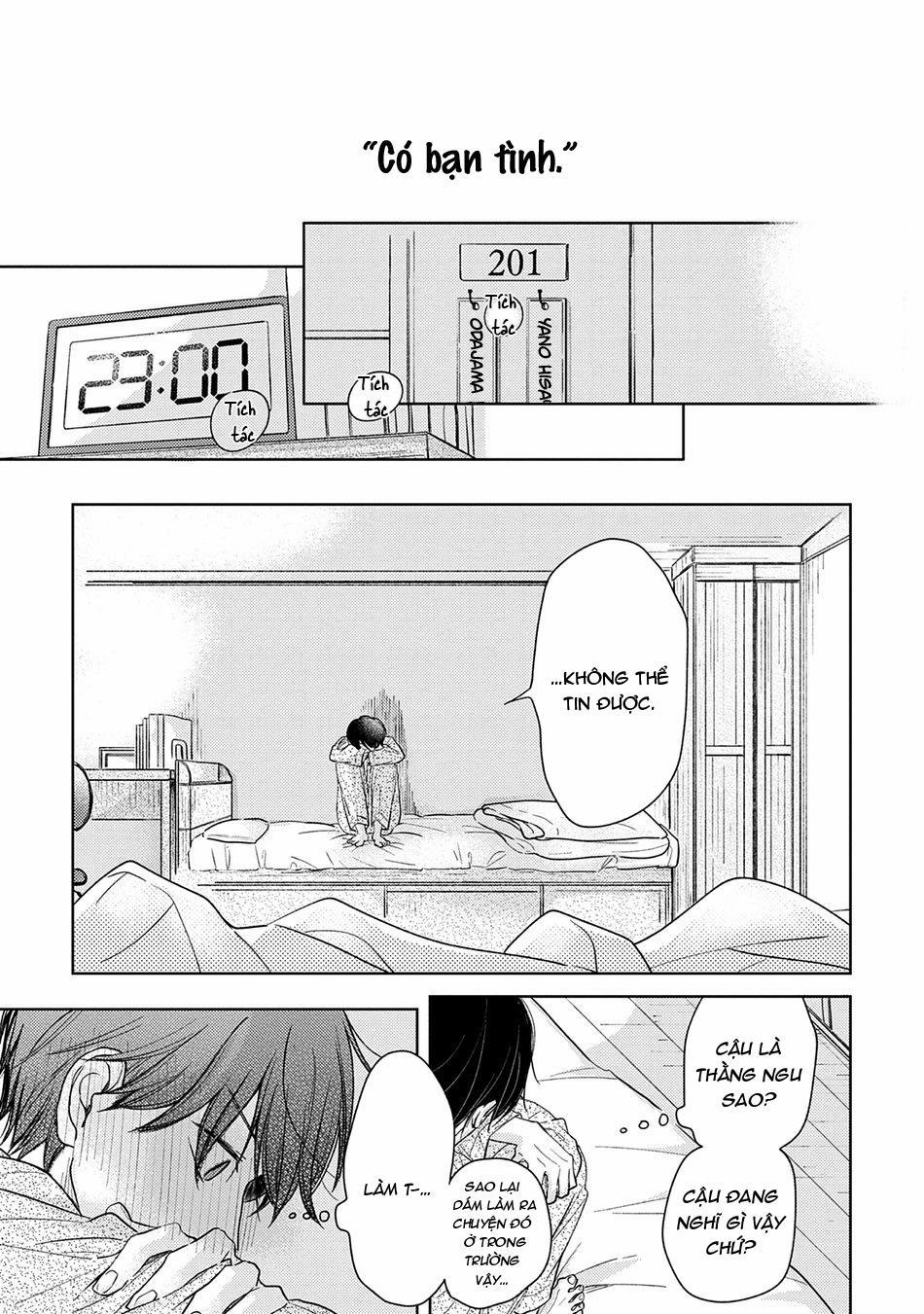 Pittosporum 1 trang 25