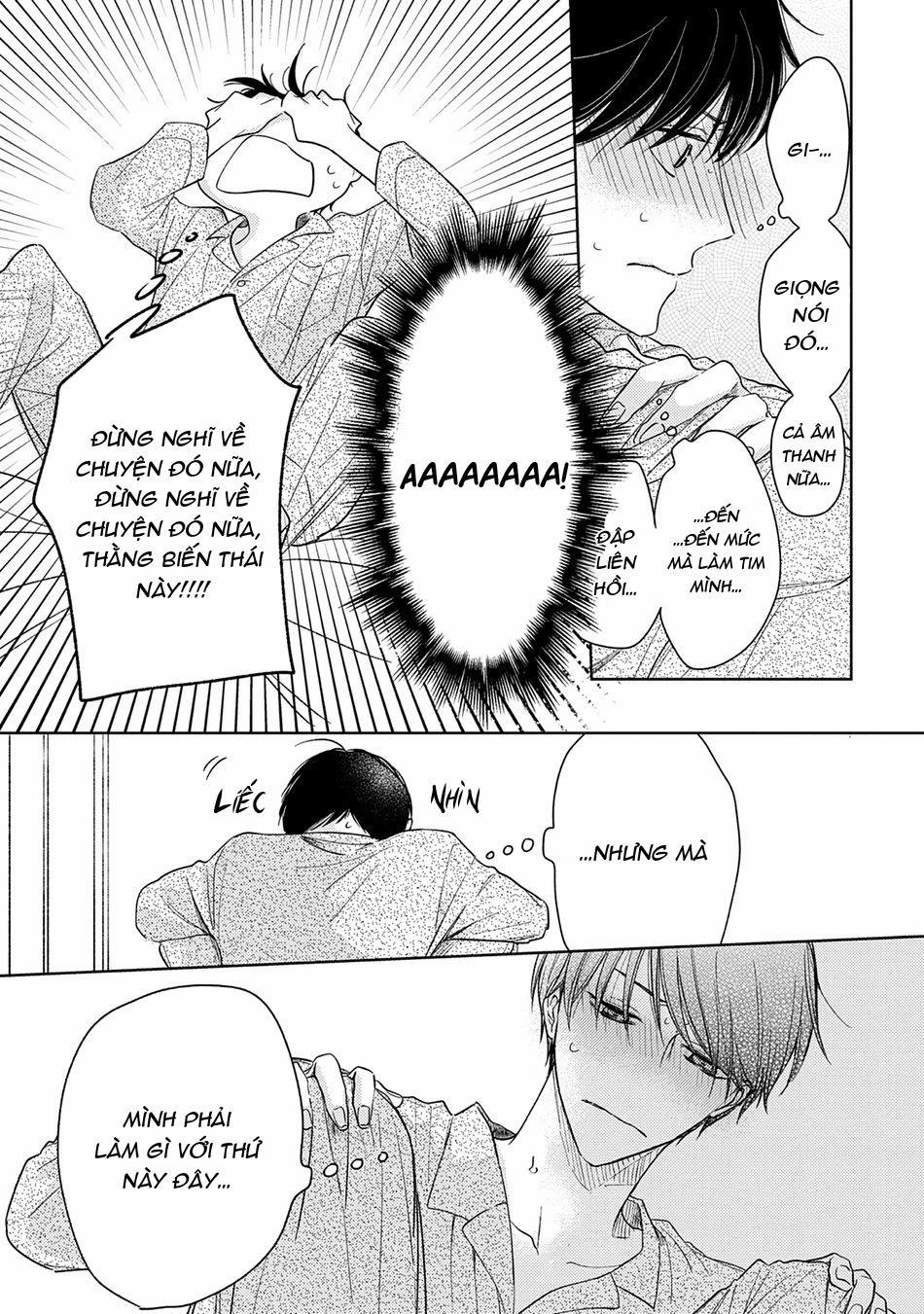 Pittosporum 1 trang 26