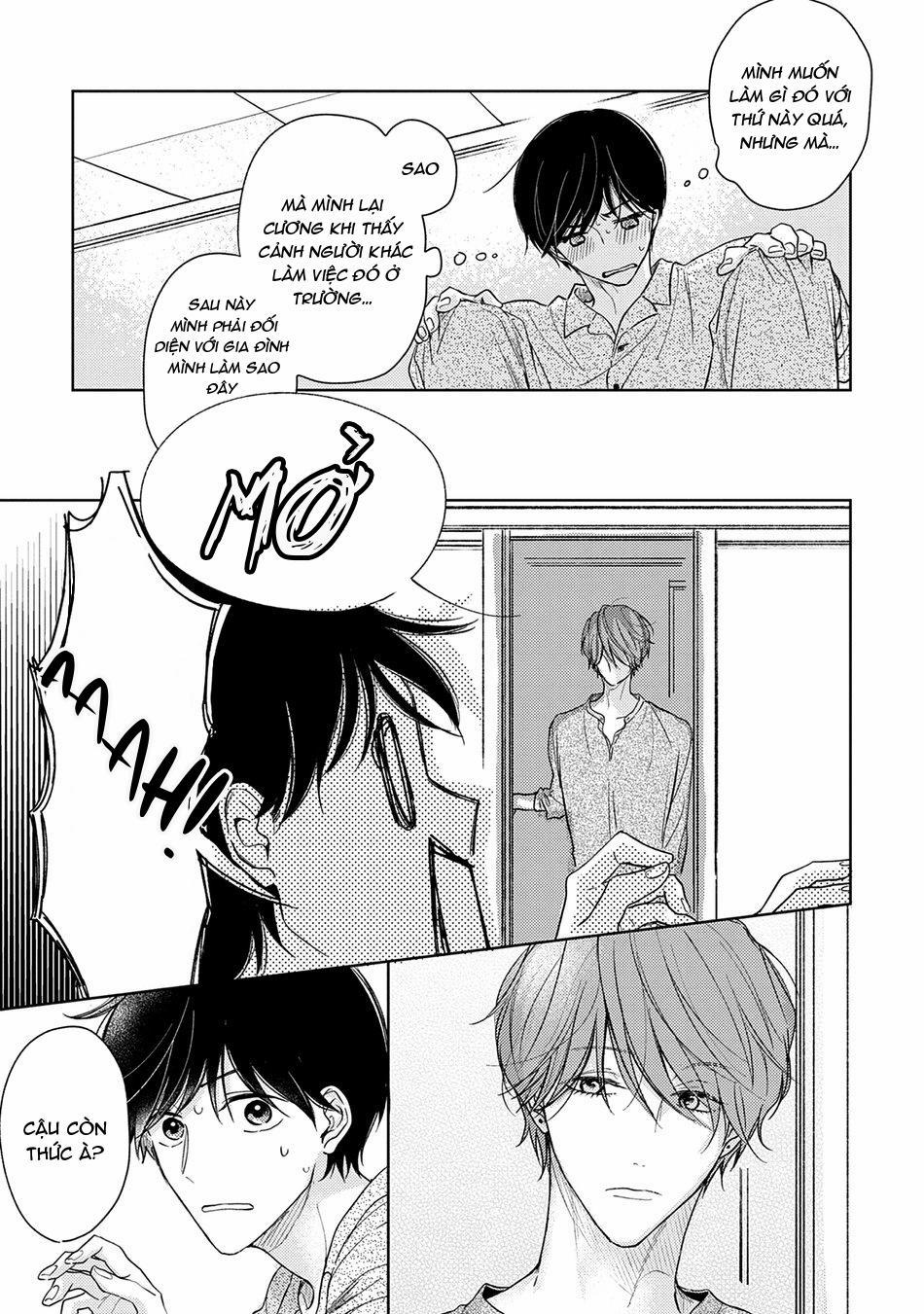 Pittosporum 1 trang 27