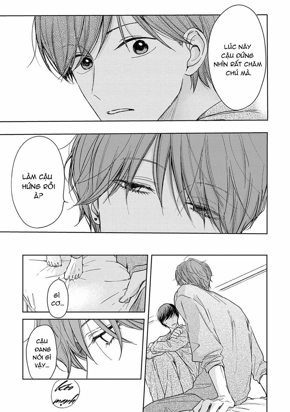 Pittosporum 1 trang 29