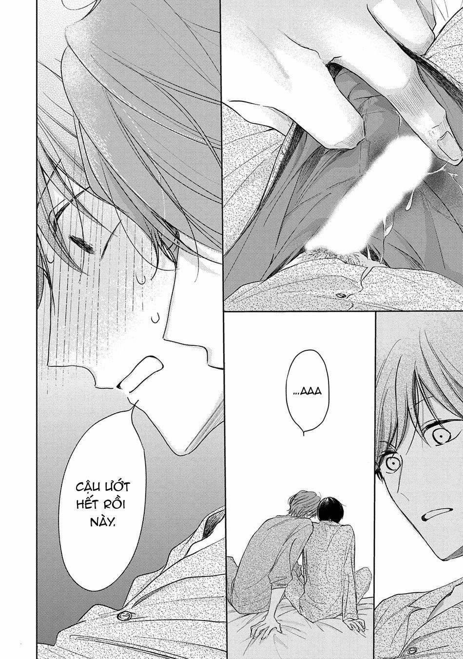 Pittosporum 1 trang 30