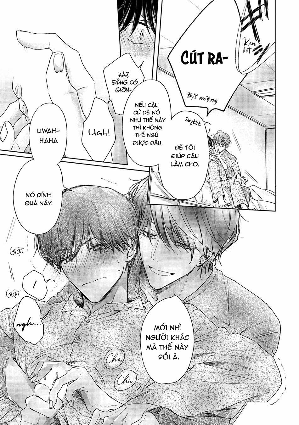 Pittosporum 1 trang 31