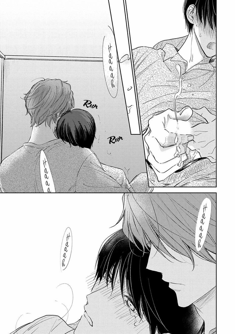 Pittosporum 1 trang 33