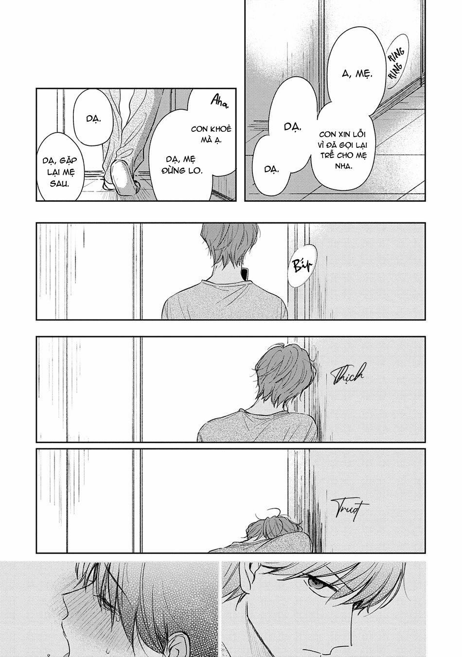 Pittosporum 1 trang 37