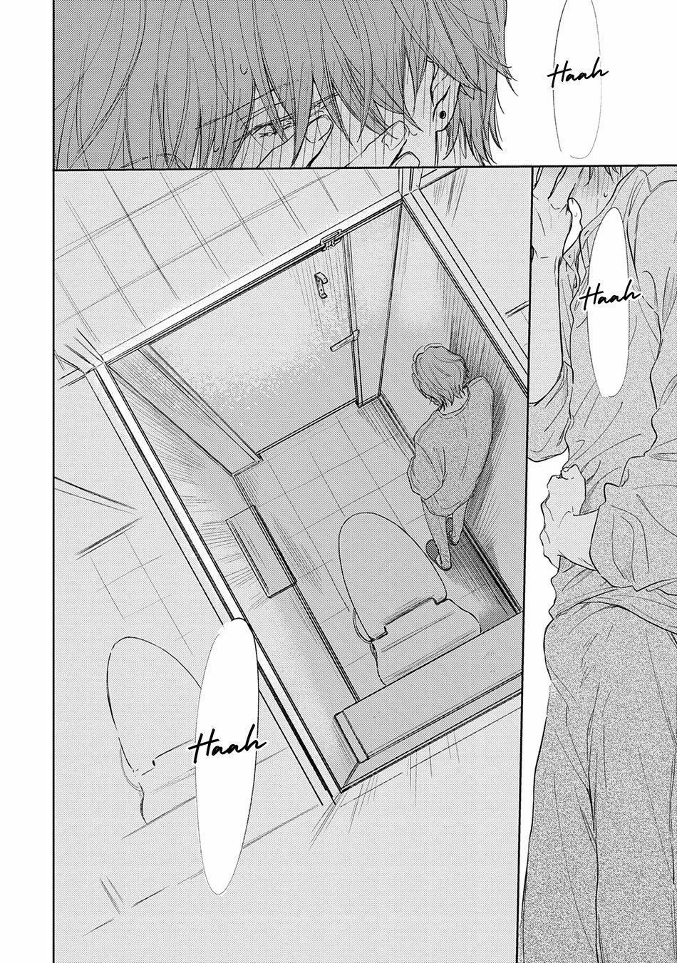 Pittosporum 1 trang 38