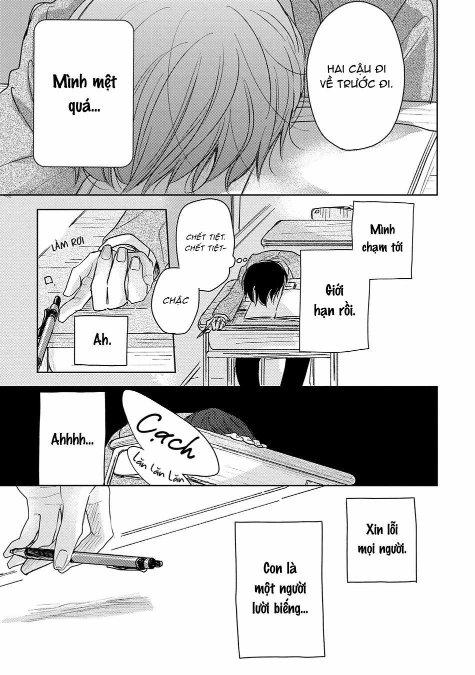 Pittosporum 2 trang 14