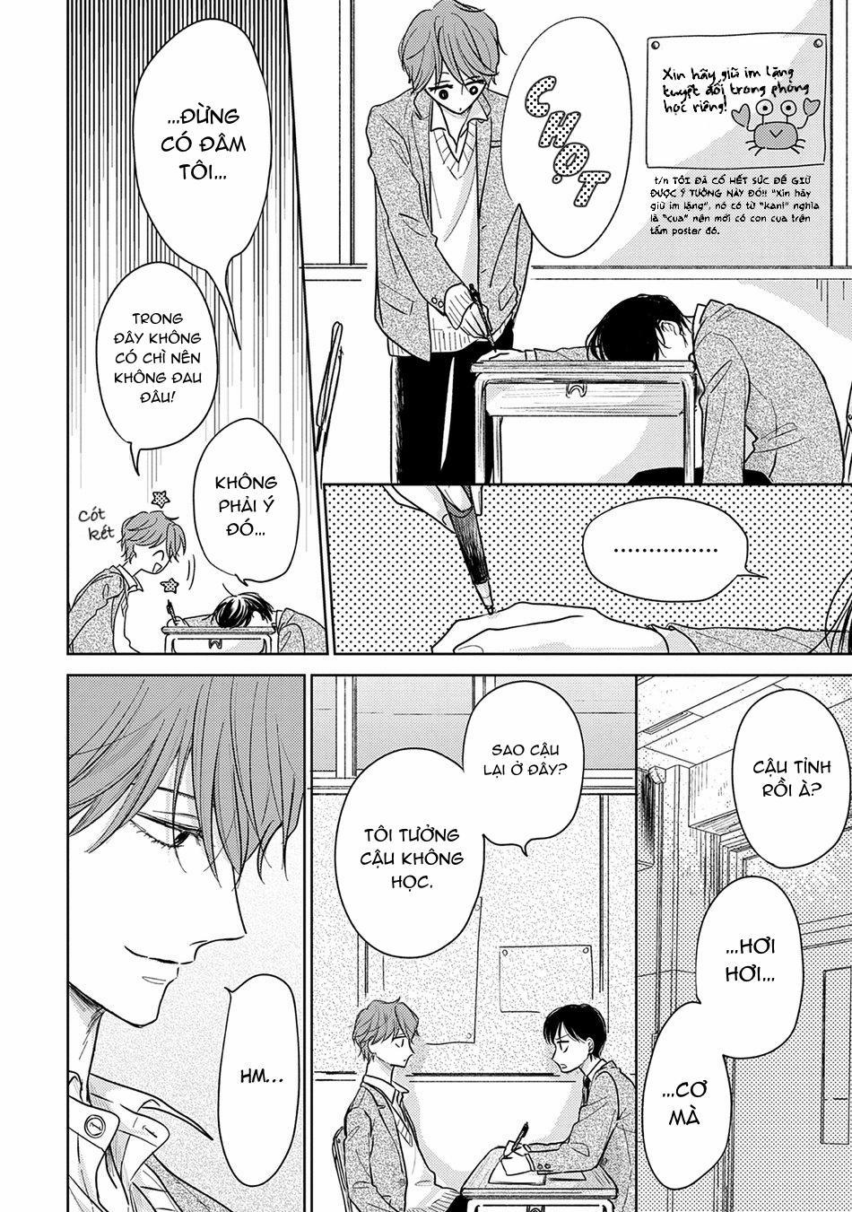 Pittosporum 2 trang 15