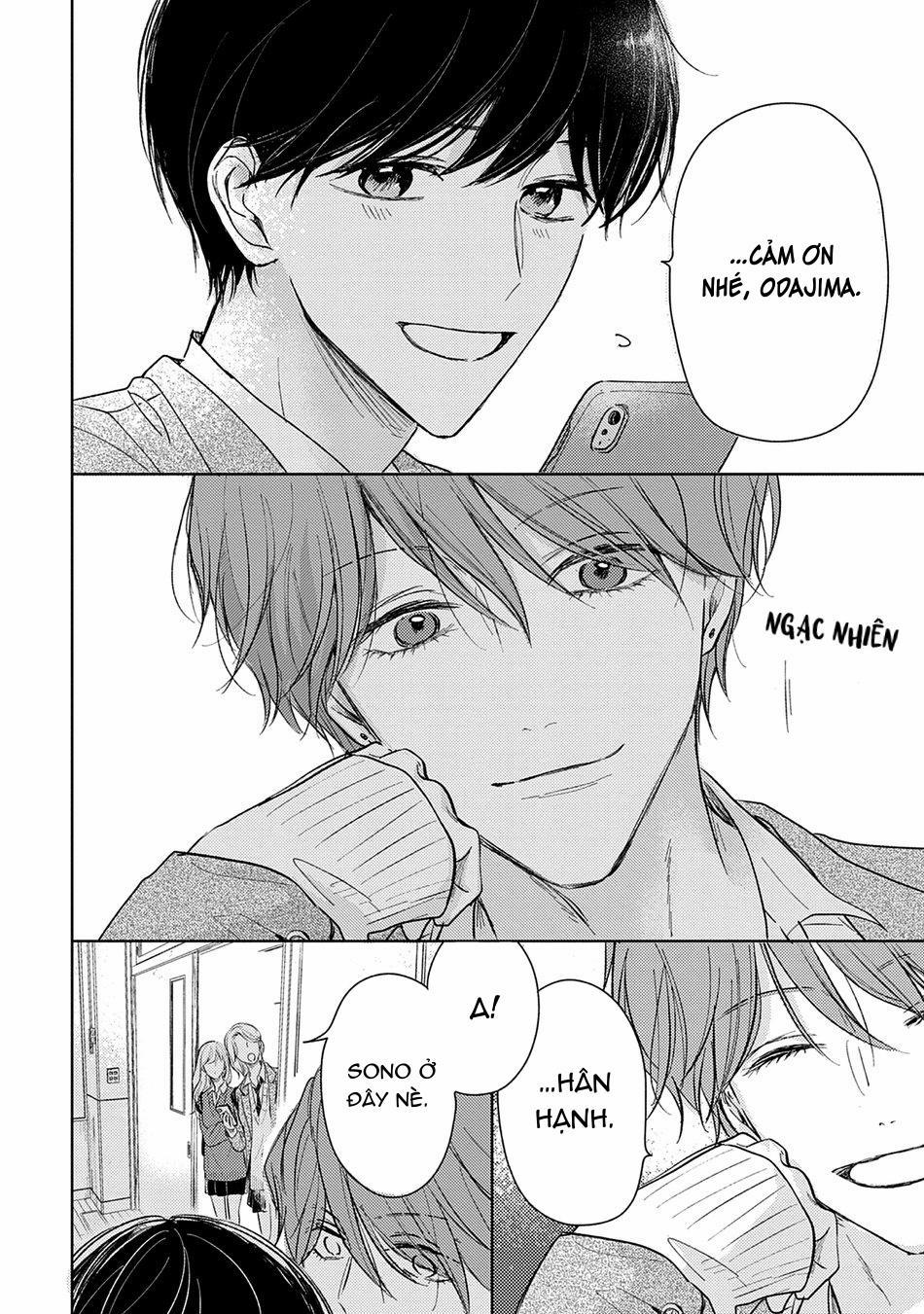 Pittosporum 2 trang 21