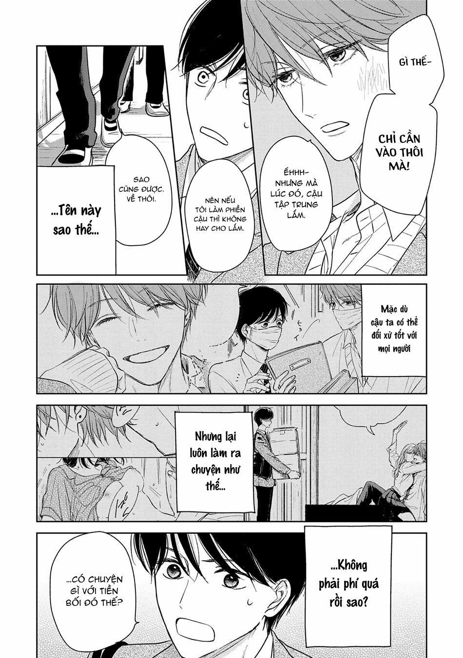 Pittosporum 2 trang 25