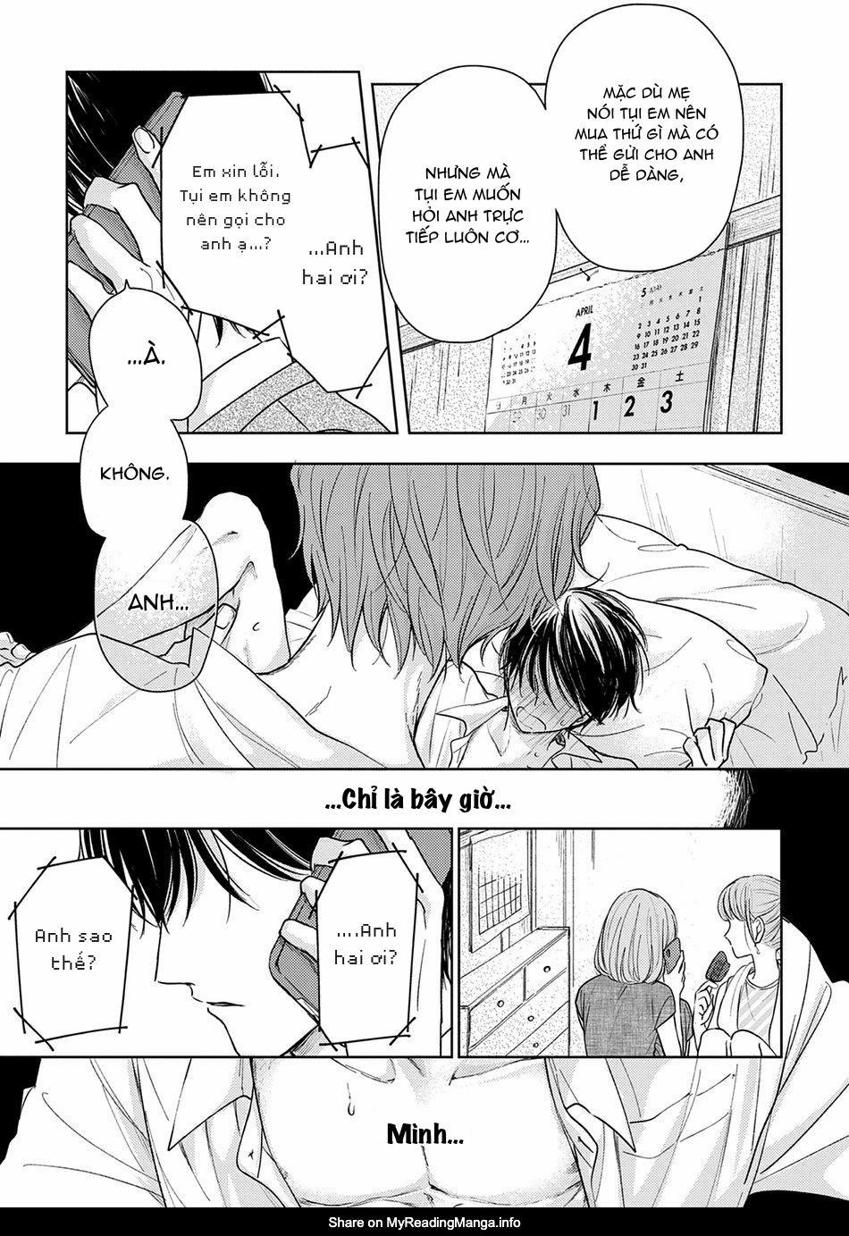 Pittosporum 2 trang 32