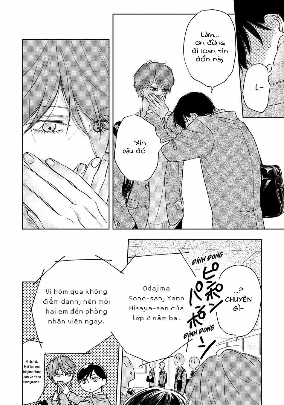 Pittosporum 2 trang 5