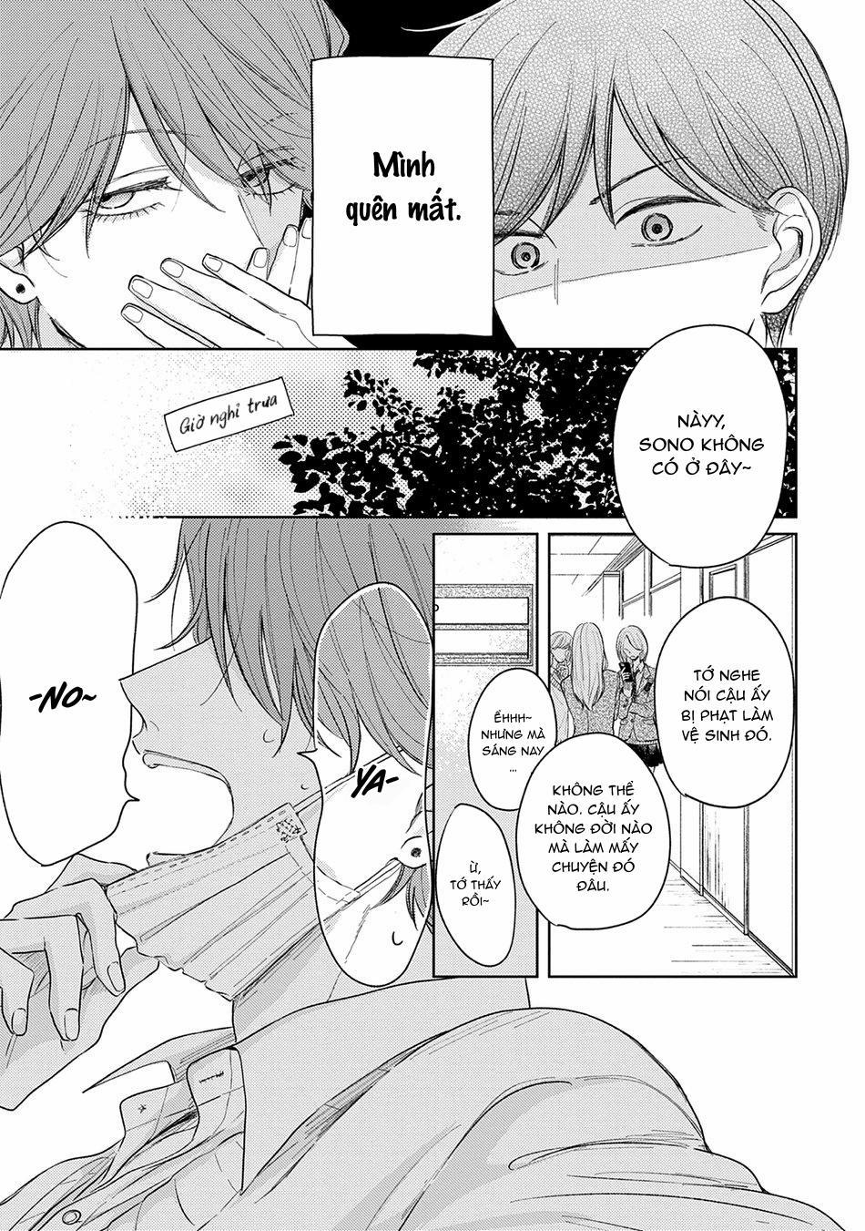 Pittosporum 2 trang 6