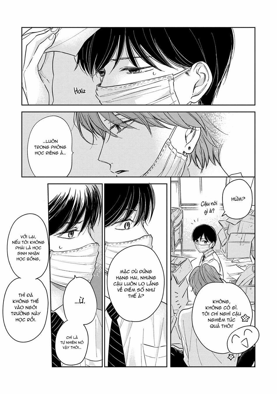 Pittosporum 2 trang 8