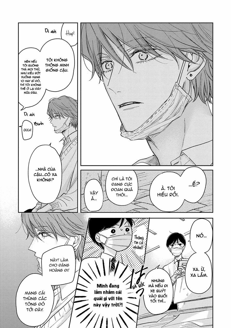 Pittosporum 2 trang 9