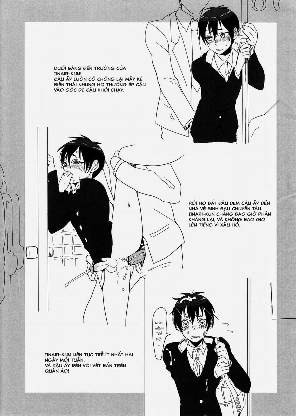 Pittosporum 24 trang 11