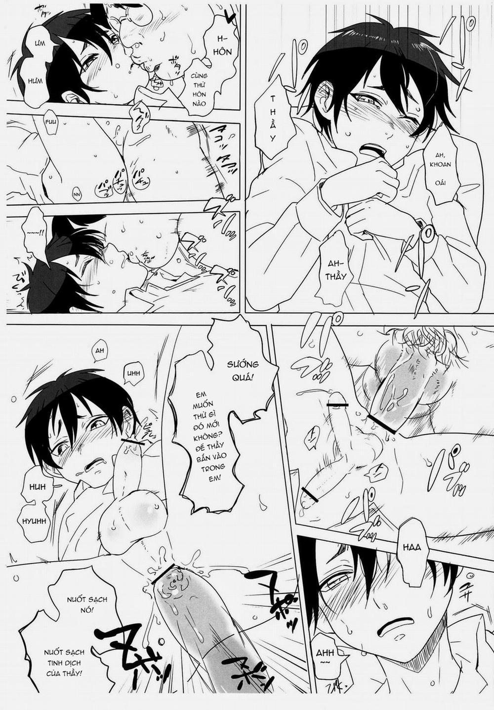 Pittosporum 24 trang 8