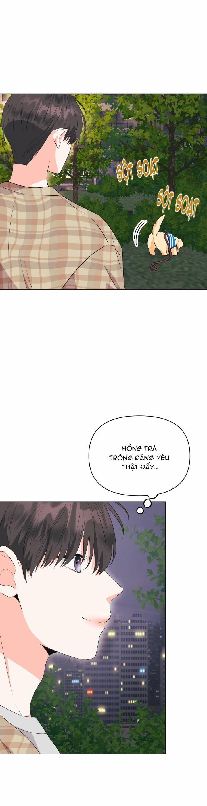 Playlist Tua Ngược 11 trang 13