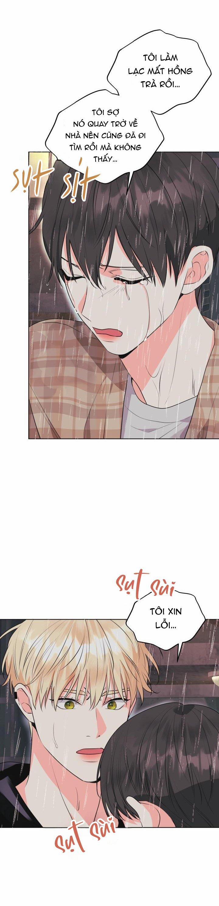 Playlist Tua Ngược 11 trang 25