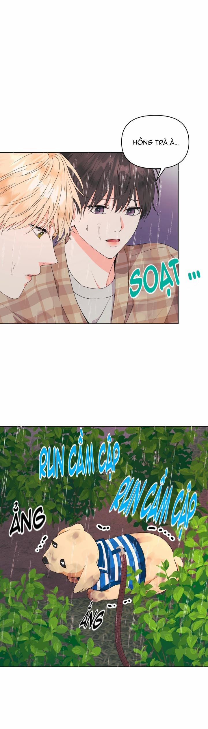 Playlist Tua Ngược 12 trang 0