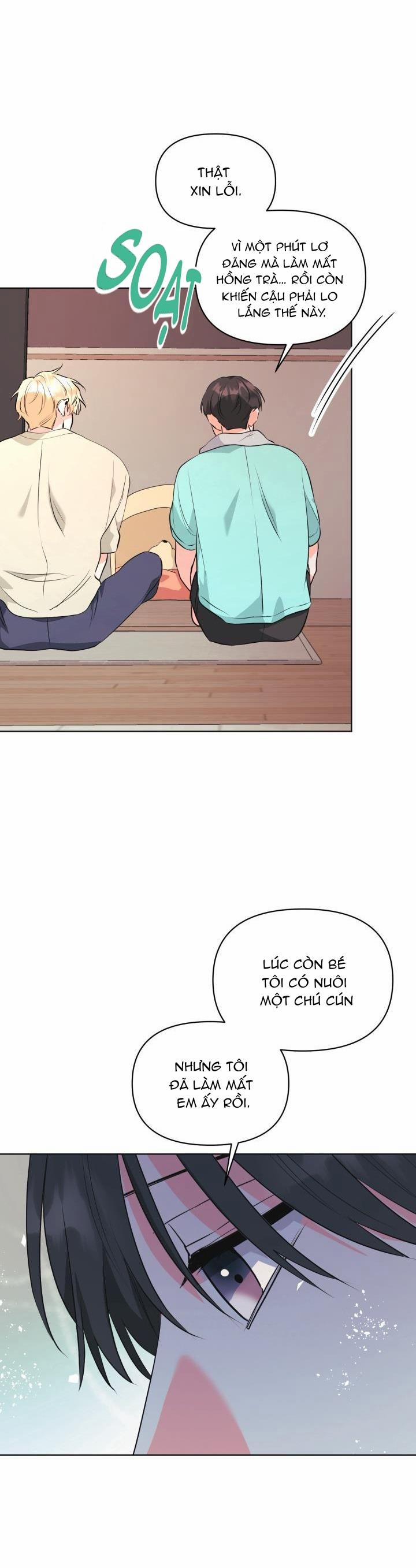 Playlist Tua Ngược 12 trang 7