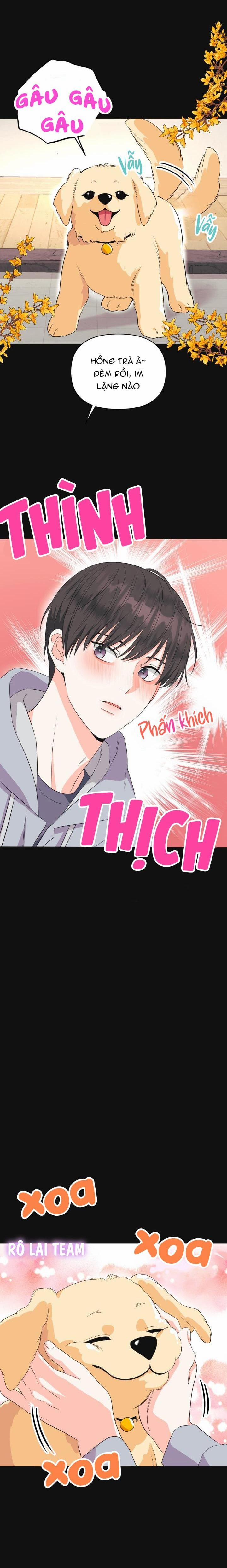 Playlist Tua Ngược 3 trang 10