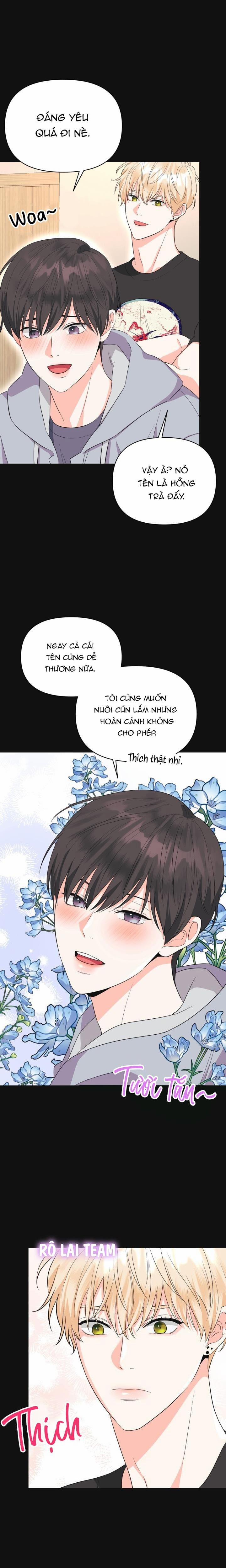 Playlist Tua Ngược 3 trang 11