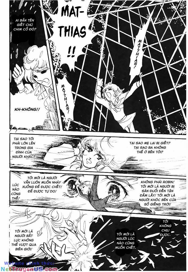 Poe No Ichizoku – Gia Tộc Poe 15 trang 12