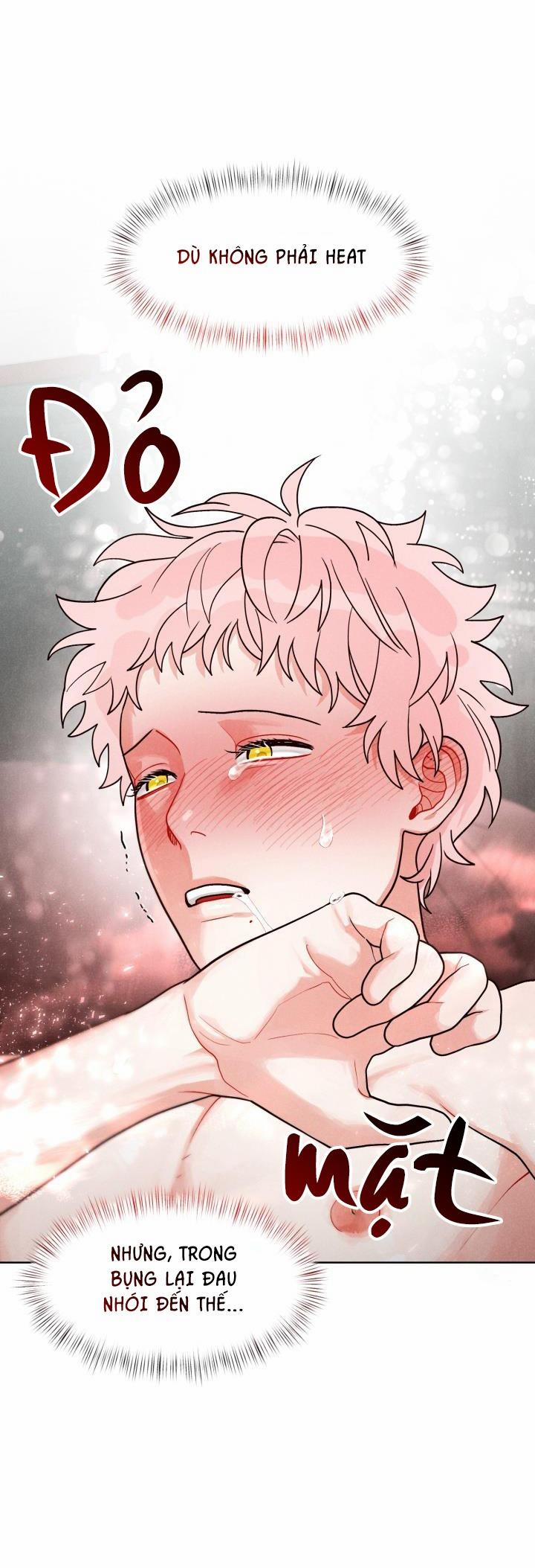 Private Call 8 trang 8