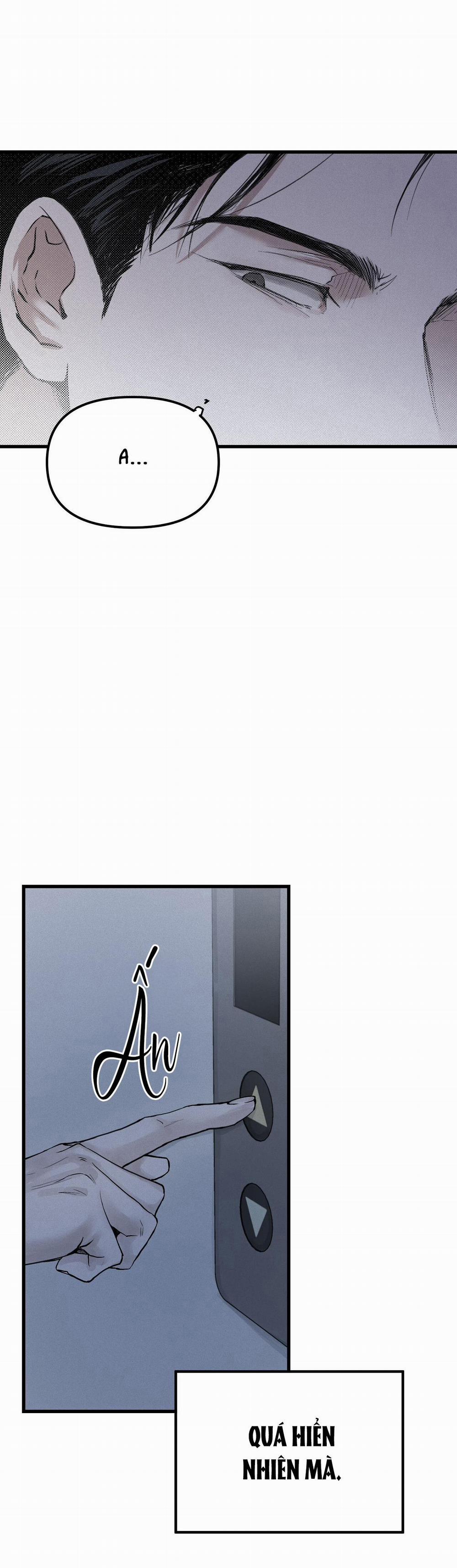 Projection 1 trang 67