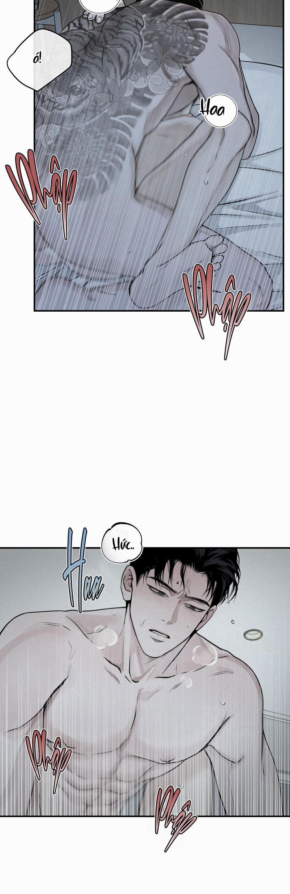 Projection 19 trang 1