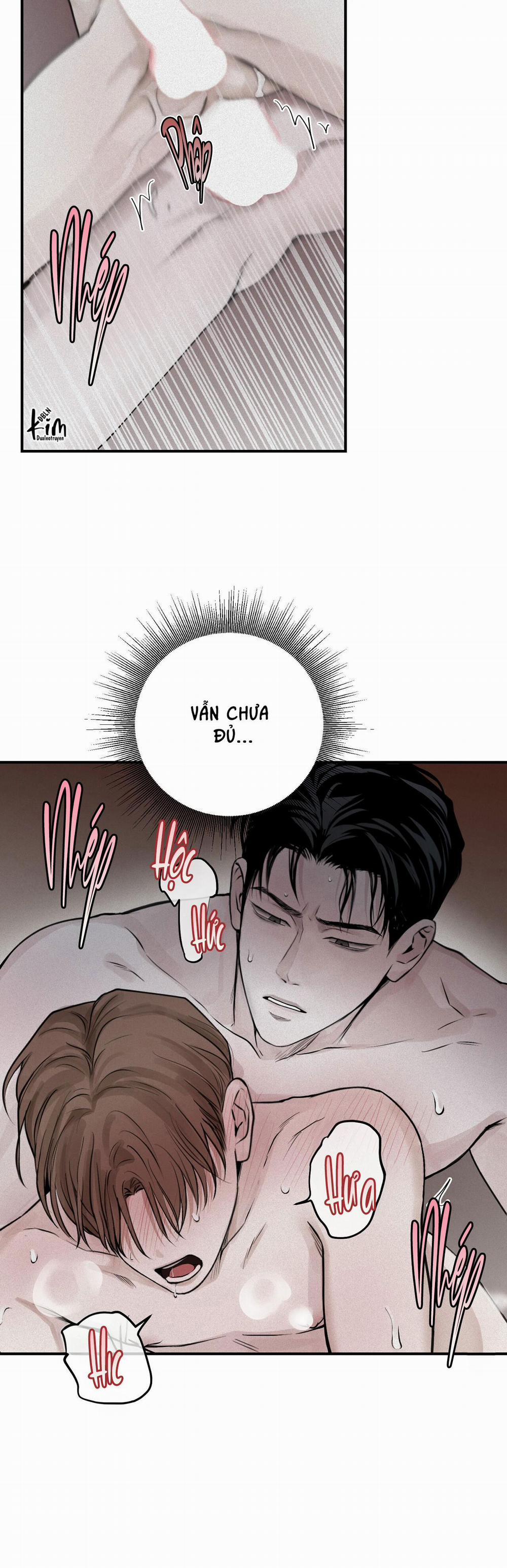 Projection 19 trang 5