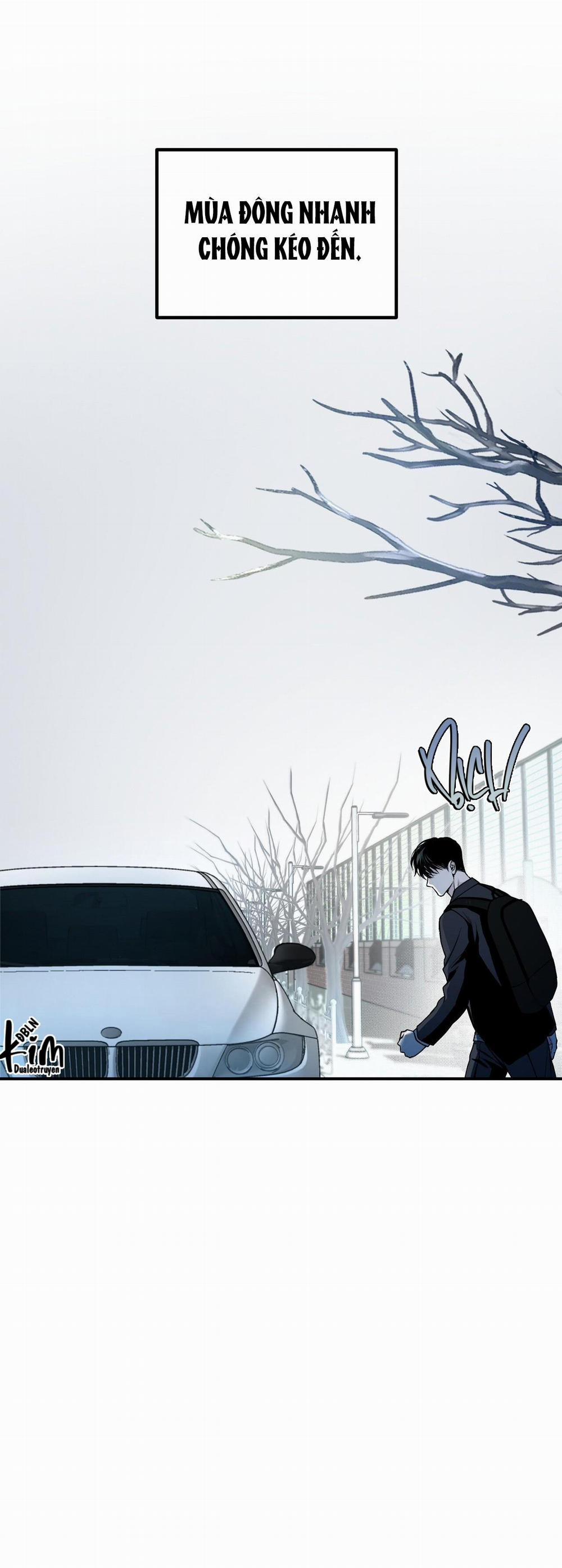 Projection 20 trang 25