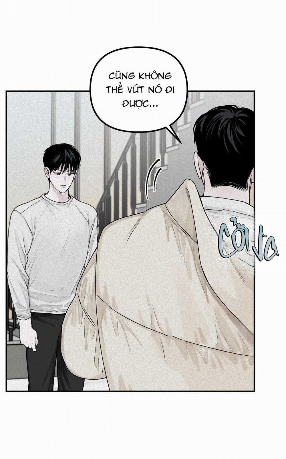 Projection 21 trang 11