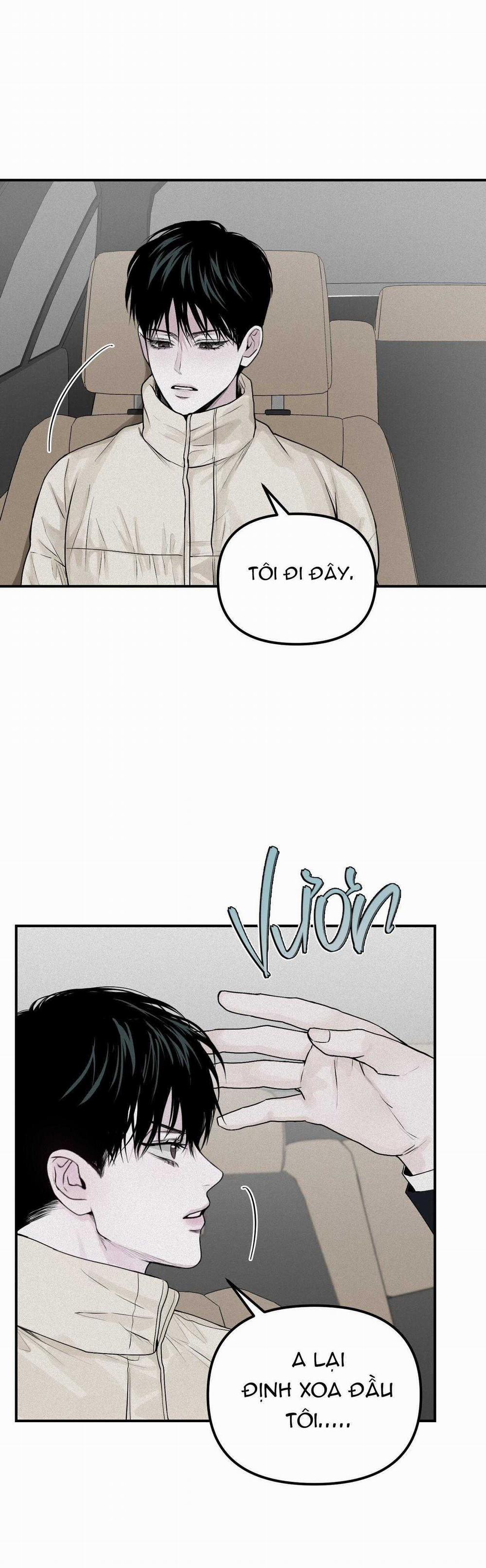 Projection 21 trang 40