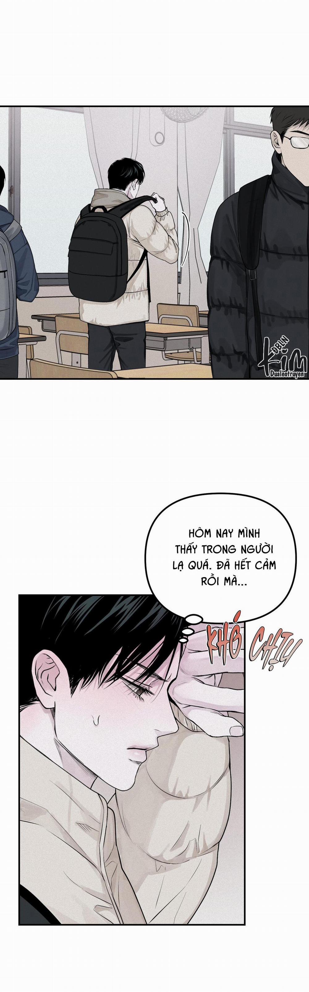 Projection 22 trang 13