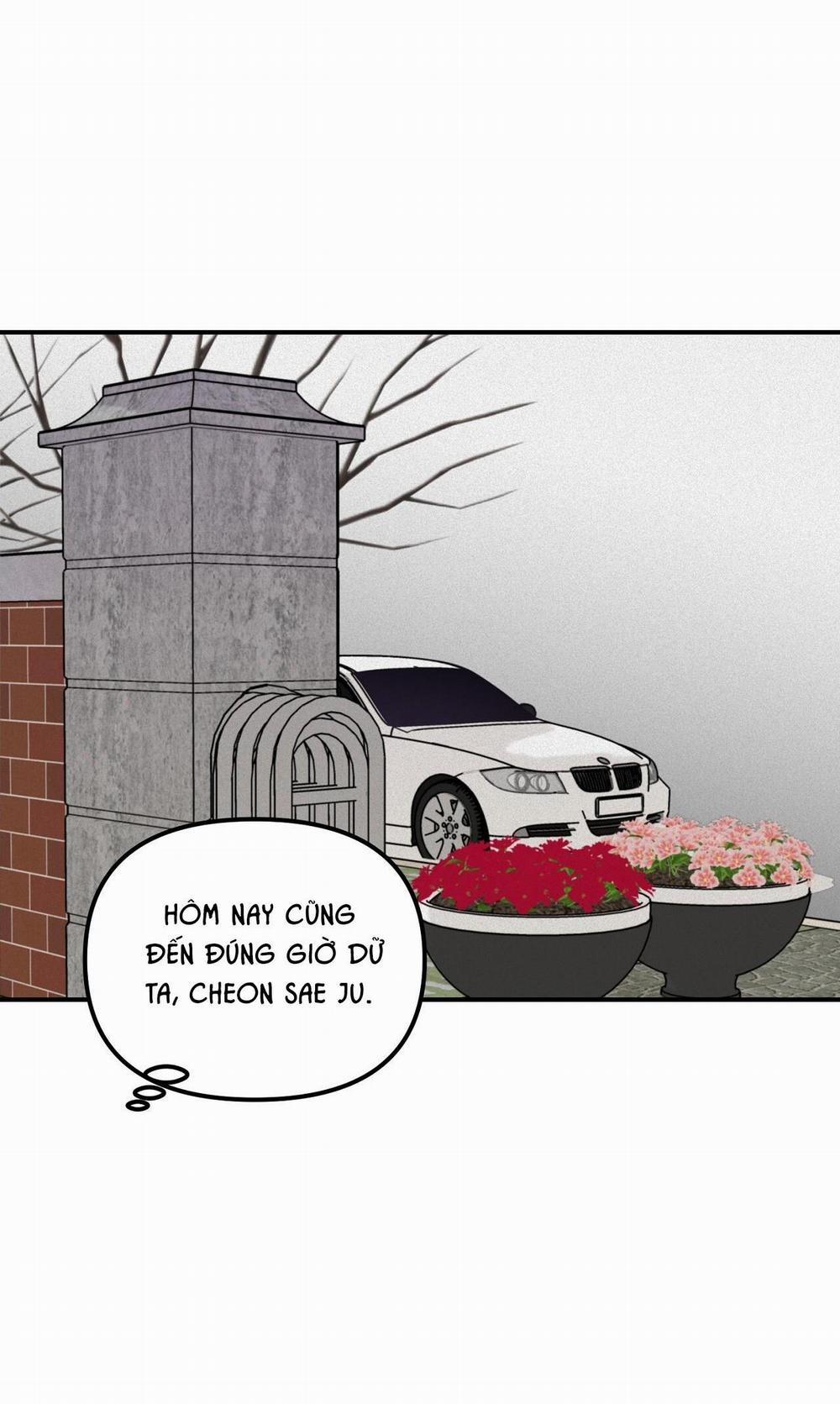 Projection 22 trang 17