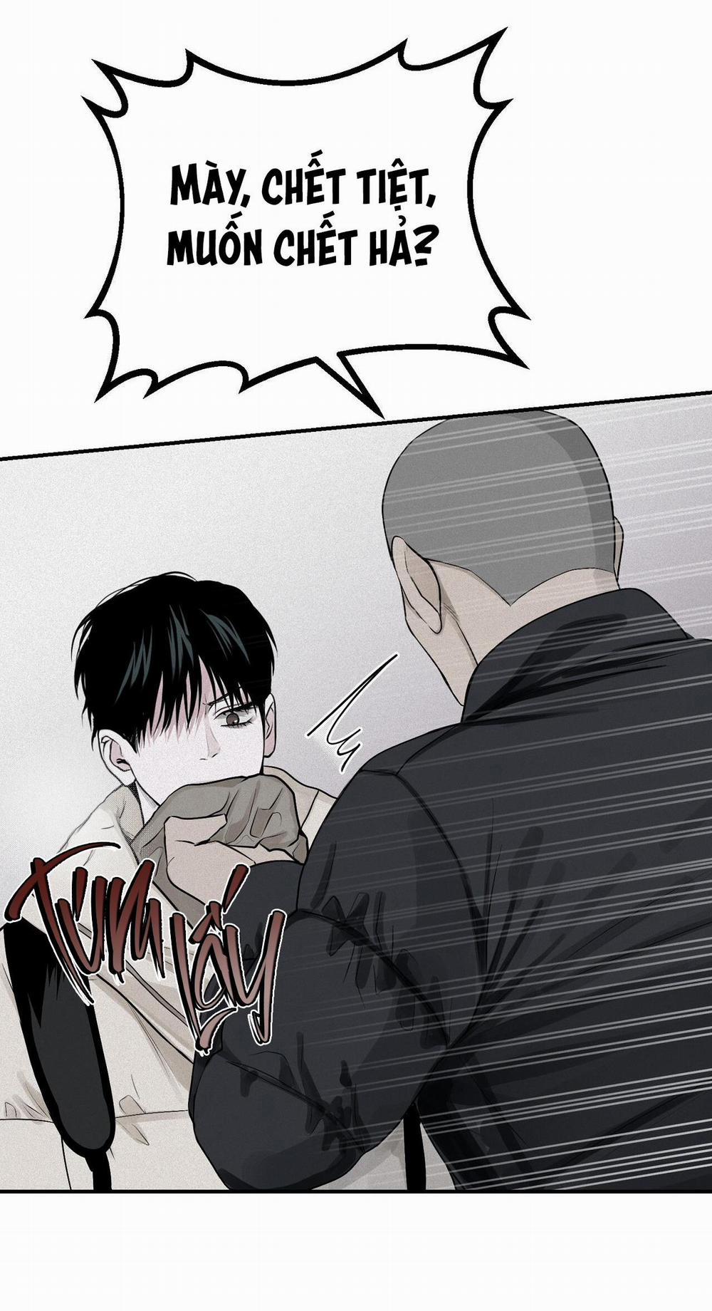 Projection 22 trang 36