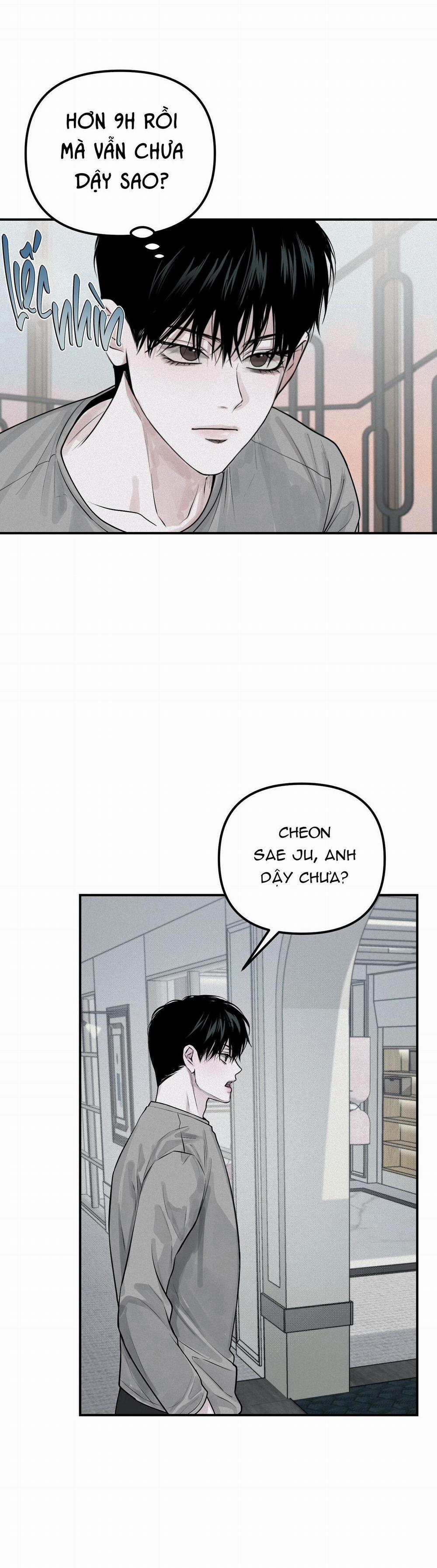 Projection 23 trang 15