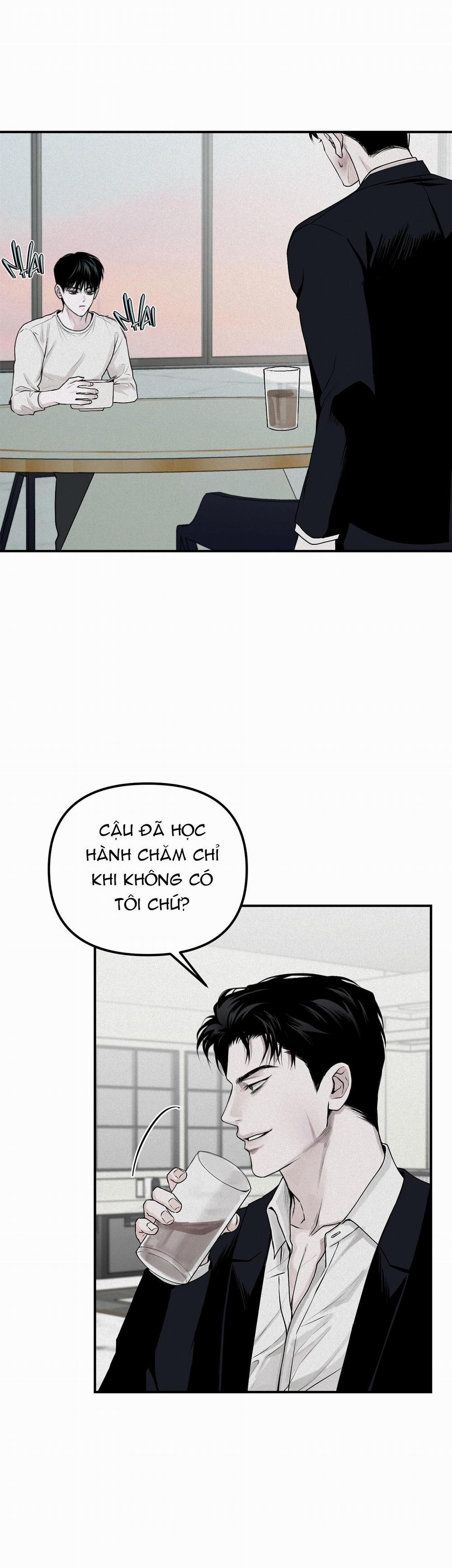 Projection 23 trang 31