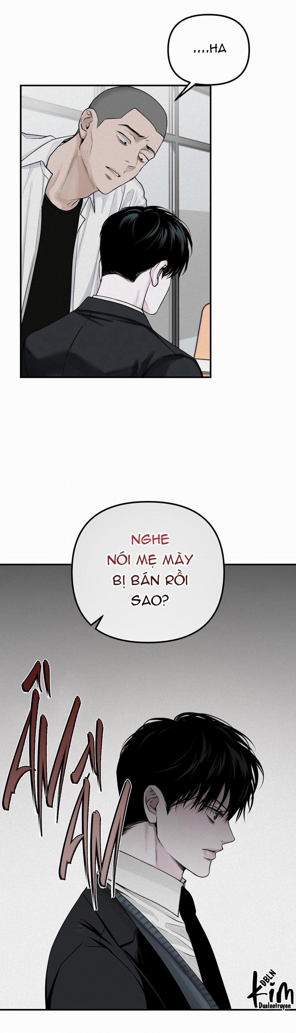 Projection 23 trang 47